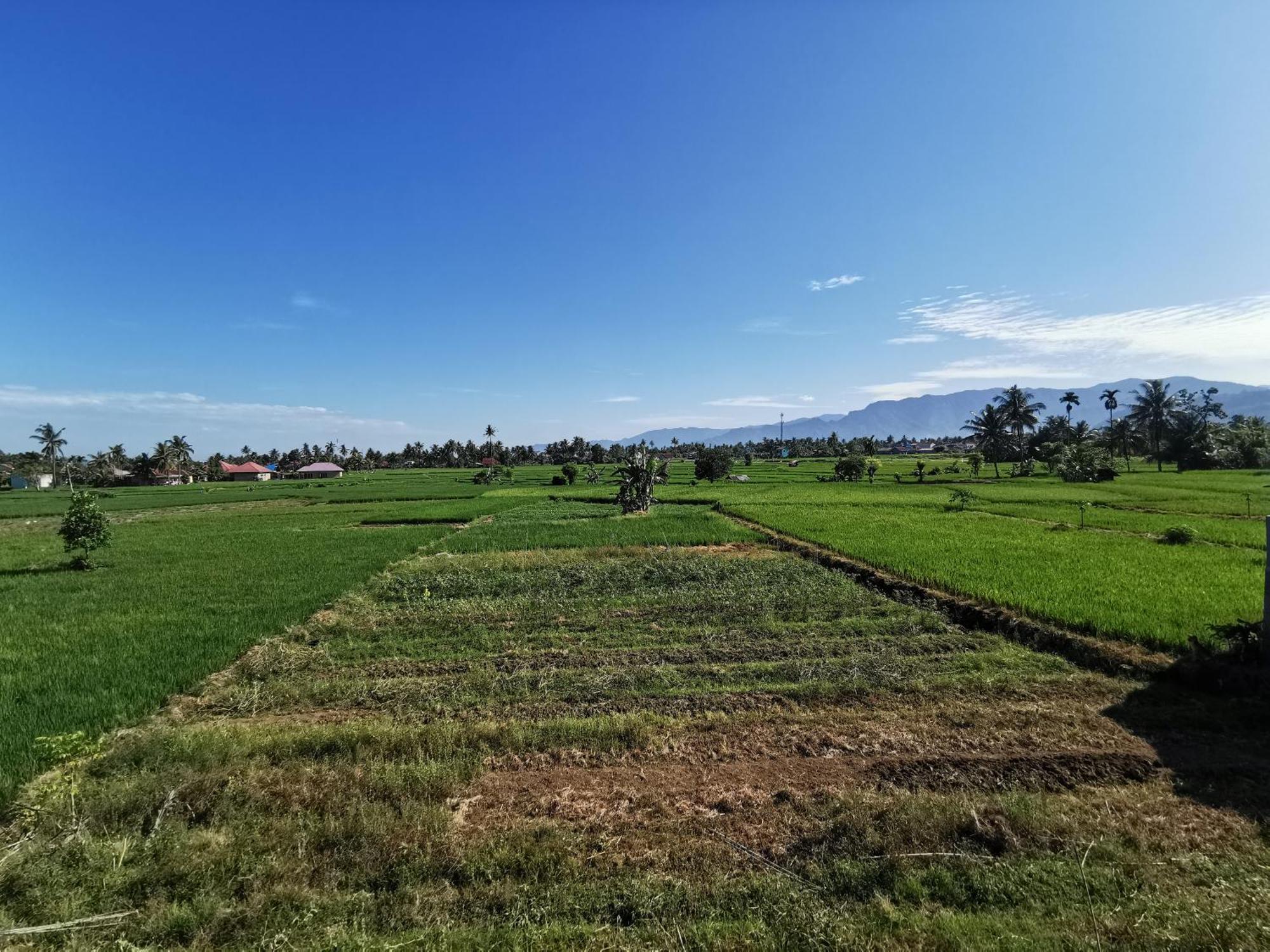 Mila Homestay Παντάνγκ Εξωτερικό φωτογραφία